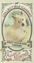 2019 Topps Allen & Ginter - Collectible Canines Minis #CC-23 West Highland Terrier Front