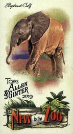 2019 Topps Allen & Ginter - New to the Zoo #NTTZ-1 Elephant Calf Front