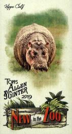 2019 Topps Allen & Ginter - New to the Zoo #NTTZ-2 Hippo Calf Front