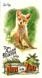 2019 Topps Allen & Ginter - New to the Zoo #NTTZ-7 Fox Pup Front