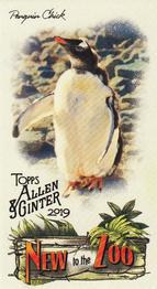 2019 Topps Allen & Ginter - New to the Zoo #NTTZ-8 Penguin Chick Front