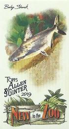 2019 Topps Allen & Ginter - New to the Zoo #NTTZ-10 Baby Shark Front