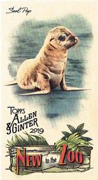 2019 Topps Allen & Ginter - New to the Zoo #NTTZ-11 Seal Pup Front