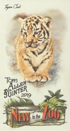 2019 Topps Allen & Ginter - New to the Zoo #NTTZ-14 Tiger Cub Front