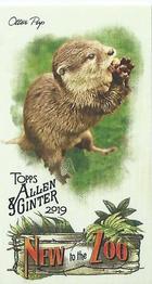 2019 Topps Allen & Ginter - New to the Zoo #NTTZ-16 Otter Pup Front