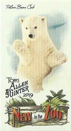 2019 Topps Allen & Ginter - New to the Zoo #NTTZ-17 Polar Bear Cub Front