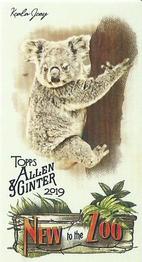 2019 Topps Allen & Ginter - New to the Zoo #NTTZ-18 Koala Joey Front