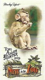 2019 Topps Allen & Ginter - New to the Zoo #NTTZ-20 Monkey Infant Front