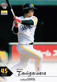2019 BBM Fukuoka SoftBank Hawks #H41 Kenta Tanigawara Front