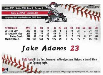 2019 Grandstand Fayetteville Woodpeckers #NNO Jake Adams Back