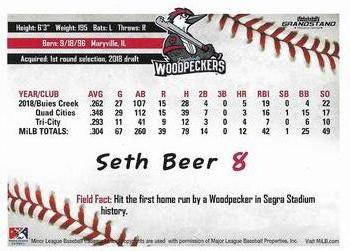 2019 Grandstand Fayetteville Woodpeckers #NNO Seth Beer Back