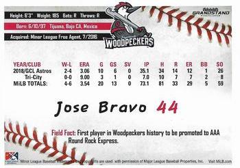 2019 Grandstand Fayetteville Woodpeckers #NNO Jose Bravo Back