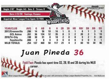 2019 Grandstand Fayetteville Woodpeckers #NNO Juan Pineda Back