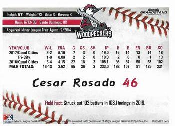 2019 Grandstand Fayetteville Woodpeckers #NNO Cesar Rosado Back
