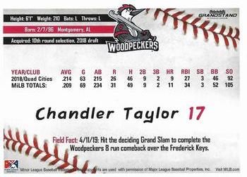 2019 Grandstand Fayetteville Woodpeckers #NNO Chandler Taylor Back