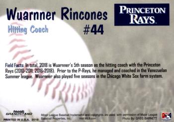2018 Grandstand Princeton Rays #NNO Wuarnner Rincones Back