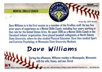 2019 Grandstand Columbia Fireflies #NNO Dave Williams Back