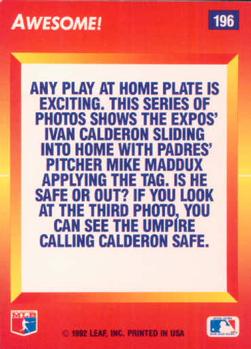 1992 Triple Play #196 Ivan Calderon / Mike Maddux Back