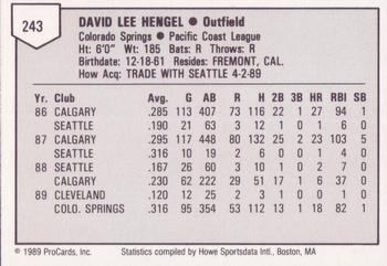 1989 ProCards Triple A #243 Dave Hengel Back