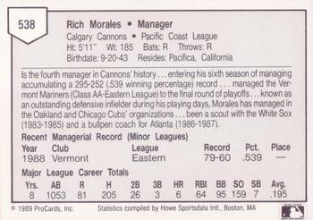 1989 ProCards Triple A #538 Rich Morales Back