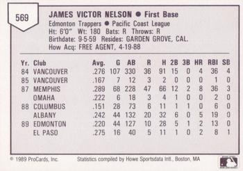 1989 ProCards Triple A #569 Jamie Nelson Back