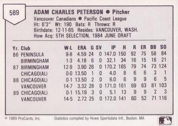 1989 ProCards Triple A #589 Adam Peterson Back