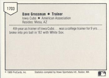 1989 ProCards Triple A #1703 Dave Grossman Back