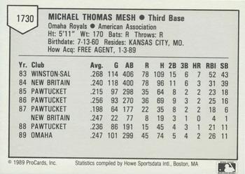1989 ProCards Triple A #1730 Mike Mesh Back