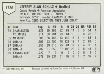 1989 ProCards Triple A #1736 Jeff Schulz Back