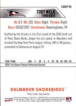 2019 Choice Delmarva Shorebirds Update #40 Toby Welk Back