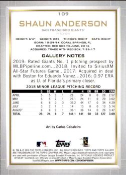 2019 Topps Gallery #109 Shaun Anderson Back
