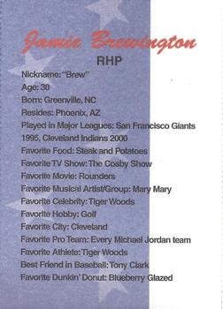 2002 Dunkin' Donuts Pawtucket Red Sox #NNO Jamie Brewington Back