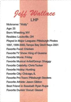 2002 Dunkin' Donuts Pawtucket Red Sox #NNO Jeff Wallace Back