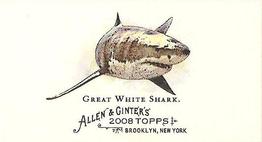 2008 Topps Allen & Ginter - Mini World's Deadliest Sharks #WDS-1 Great White Shark Front