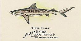 2008 Topps Allen & Ginter - Mini World's Deadliest Sharks #WDS-2 Tiger Shark Front
