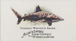 2008 Topps Allen & Ginter - Mini World's Deadliest Sharks #WDS-4 Oceanic Whitetip Shark Front