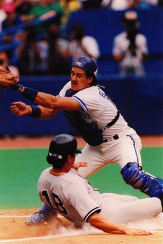1994 System 4 Limited Toronto Blue Jays Postcards #NNO Pat Borders Front