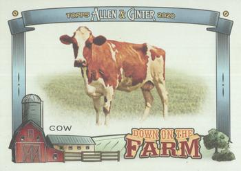 2020 Topps Allen & Ginter - Down on the Farm #DF-C Cow Front
