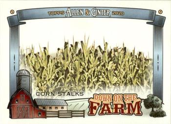 2020 Topps Allen & Ginter - Down on the Farm #DF-CS Corn Stalks Front