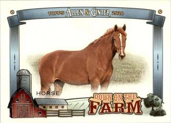 2020 Topps Allen & Ginter - Down on the Farm #DF-H Horse Front