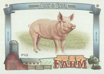 2020 Topps Allen & Ginter - Down on the Farm #DF-P Pig Front