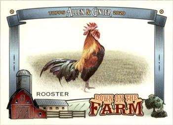 2020 Topps Allen & Ginter - Down on the Farm #DF-R Rooster Front
