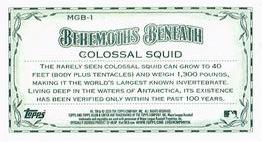 2020 Topps Allen & Ginter - Mini Behemoths Beneath #MGB-1 Colossal Squid Back