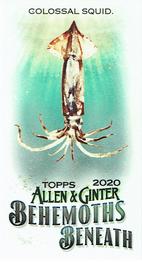 2020 Topps Allen & Ginter - Mini Behemoths Beneath #MGB-1 Colossal Squid Front