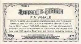 2020 Topps Allen & Ginter - Mini Behemoths Beneath #MGB-3 Fin Whale Back