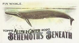 2020 Topps Allen & Ginter - Mini Behemoths Beneath #MGB-3 Fin Whale Front