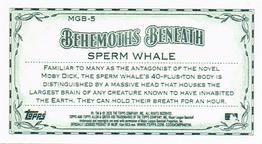 2020 Topps Allen & Ginter - Mini Behemoths Beneath #MGB-5 Sperm Whale Back