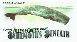 2020 Topps Allen & Ginter - Mini Behemoths Beneath #MGB-5 Sperm Whale Front