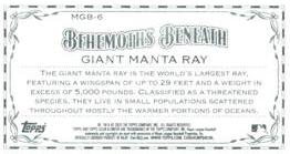 2020 Topps Allen & Ginter - Mini Behemoths Beneath #MGB-6 Giant Manta Ray Back