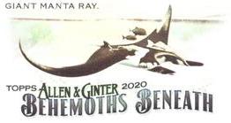 2020 Topps Allen & Ginter - Mini Behemoths Beneath #MGB-6 Giant Manta Ray Front